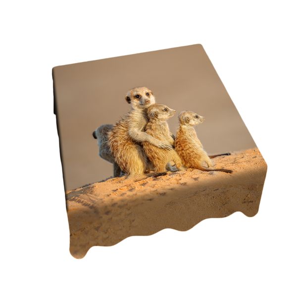 Kalahari Meerkat Square Tablecloth by Fanie Heymans