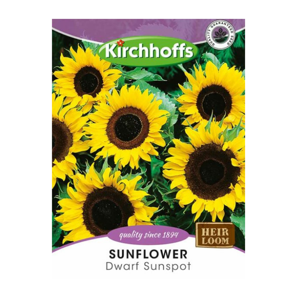 Kirchhoffs Sunflower Dwarf Sunspot Seeds