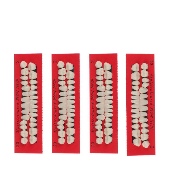 4Sets Acrylic Resin Artificial Teeth Acrylic Dentures Upper and Lower Teeth