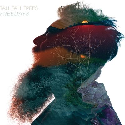 Vinyl / 12" Album Coloured Vinyl image