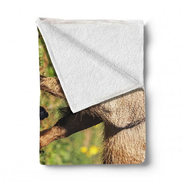 Warthog Phacochoerus Africanusa Light Weight Fleece Blanket By Fanie Heymans