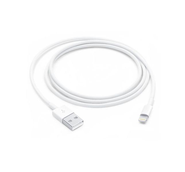 Fast USB to Lightning iPhone Changing Cable Compatible With iPhone IOS 1M