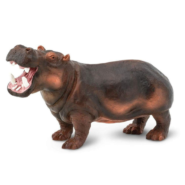 Safari Ltd. Hippopotamus