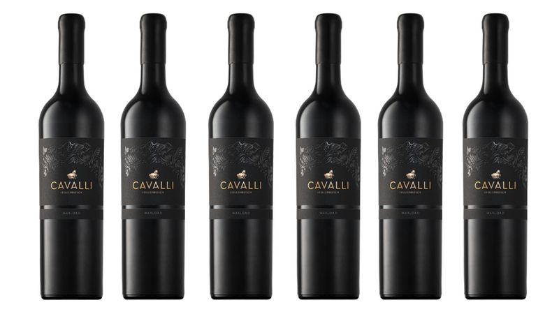 Cavalli Warlord (Case of 6)