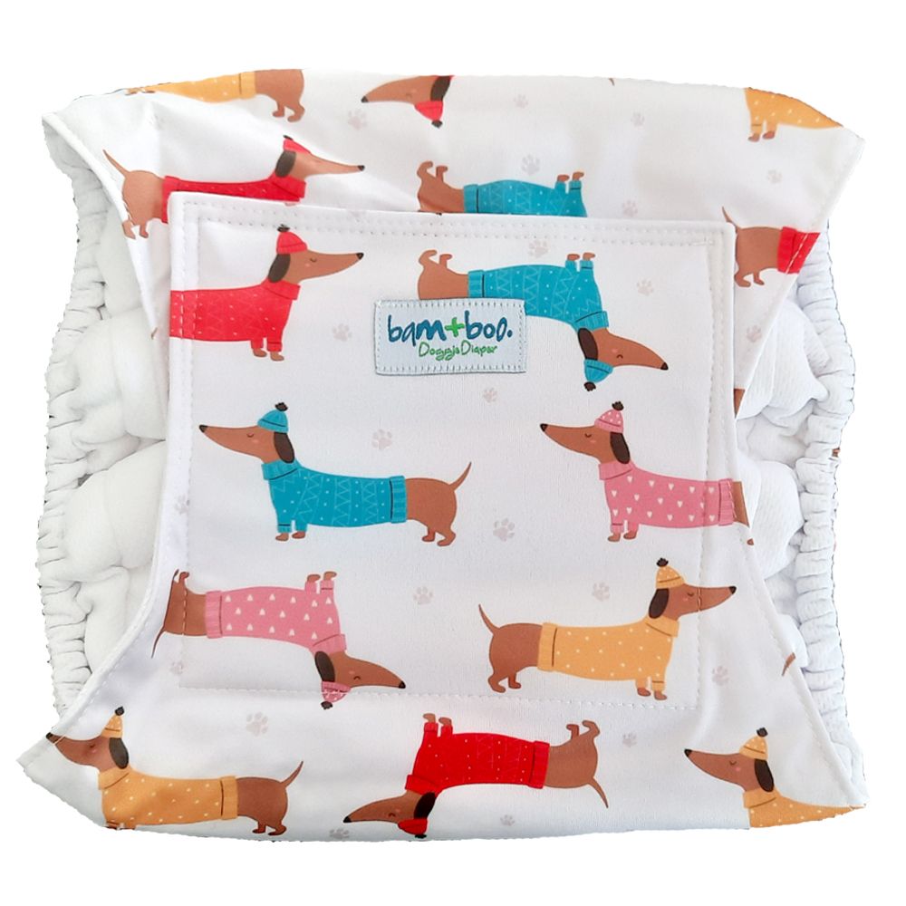 male-dog-diaper-dachshund-shop-today-get-it-tomorrow-takealot