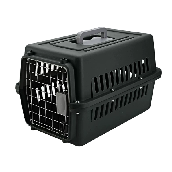 Small Pet Travel Carrier Box