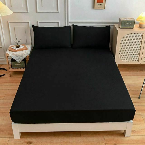 3 Pieces Velvet Fitted Sheet Queen Size with 2 Pillow Cases