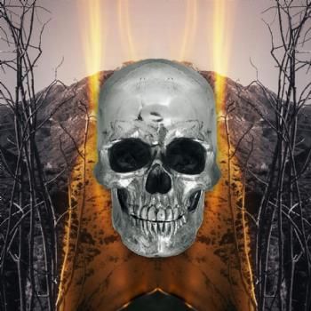 Dark Side Of Everything (Vinyl)