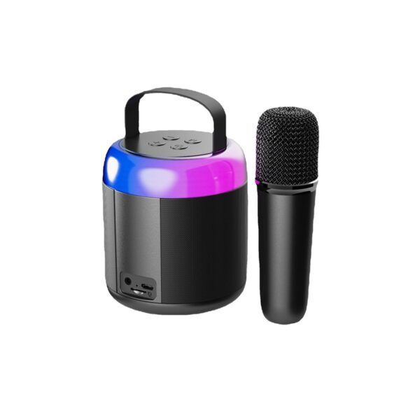 Portable bluetooth speaker with karaoke microphone