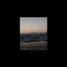 Window In (Vinyl / 12" Album)