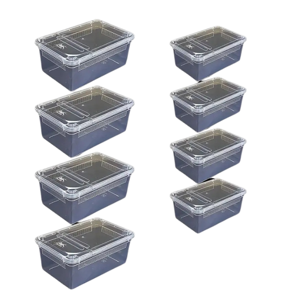 Reptile Breeding Plastic Box Display 8 pc combo set
