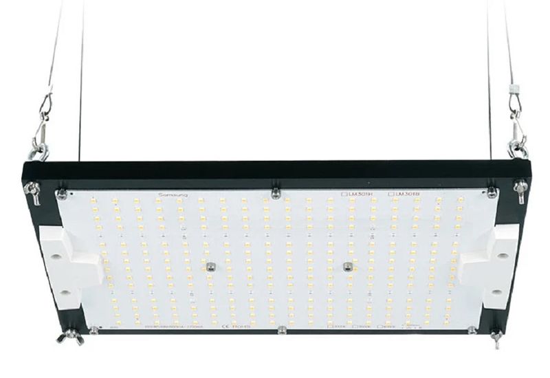 KingBrite Grow Lights 120
