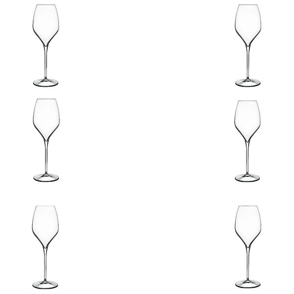 Luigi Bormioli - 450ml Magnifico Glass Wine - Set of 6