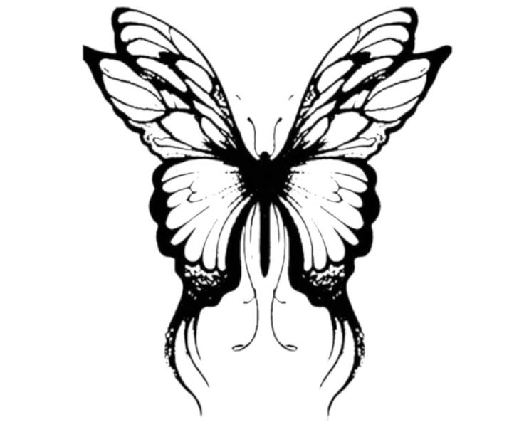 1 Sheet - Mystical Butterfly Temporary Tattoo - Black