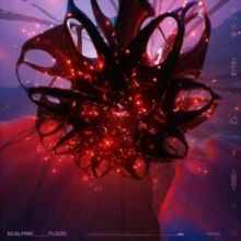 Flood (Vinyl / 12" Single)