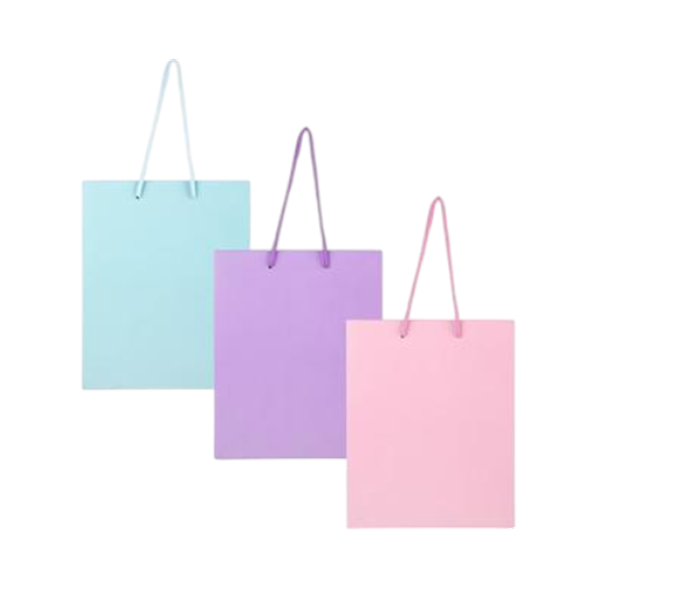 Large Pastel Gift Bags (25x32cm) x 3