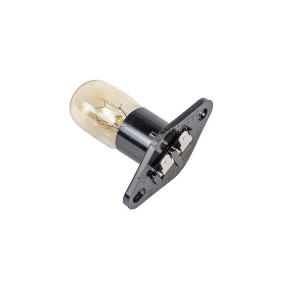 Universal Microwave Light Bulb - 2A 250V 20W
