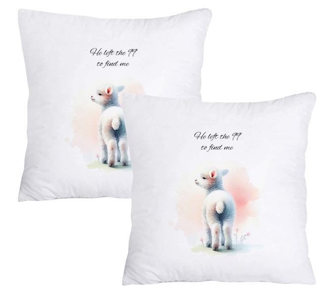 Scatter Cushion Cover Set - He left the 99 to find me