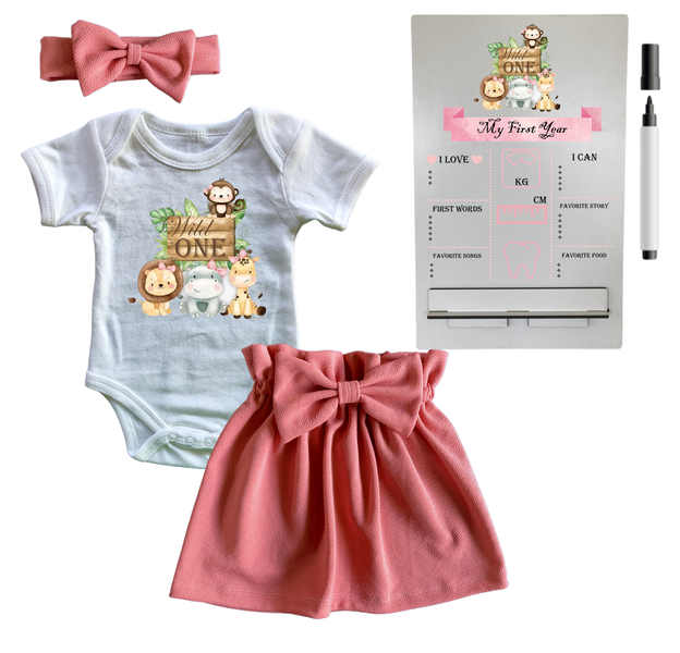 First Birthday Outfit-Skirt, vest &amp; Milestone sign- Pink-Wild One