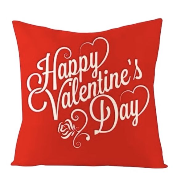 Happy Valentine's Love Plush Colours Luxury Scatter Cushion Cover 60cm x 60cm