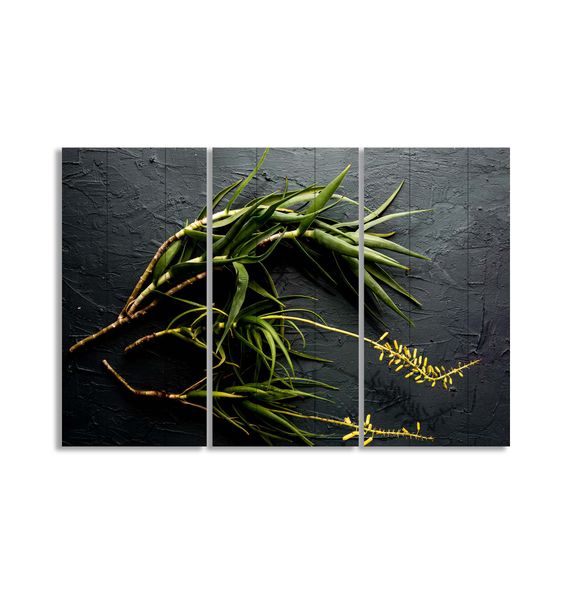 Cape Art Wall Art MDF 3 Piece Collage Charcoal Bunch