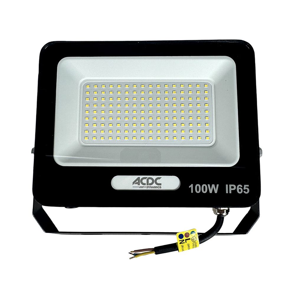 ACDC - Cool White LED Flood Light IP65 (100W) | Shop Today. Get it ...
