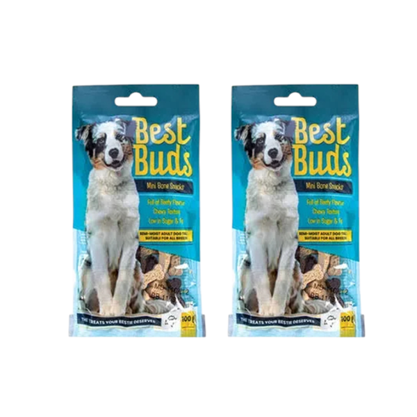Mini Bone Snacks Dog Treats 100g x 2 Pack