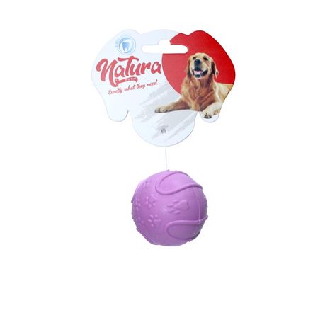 Hard plastic store dog ball