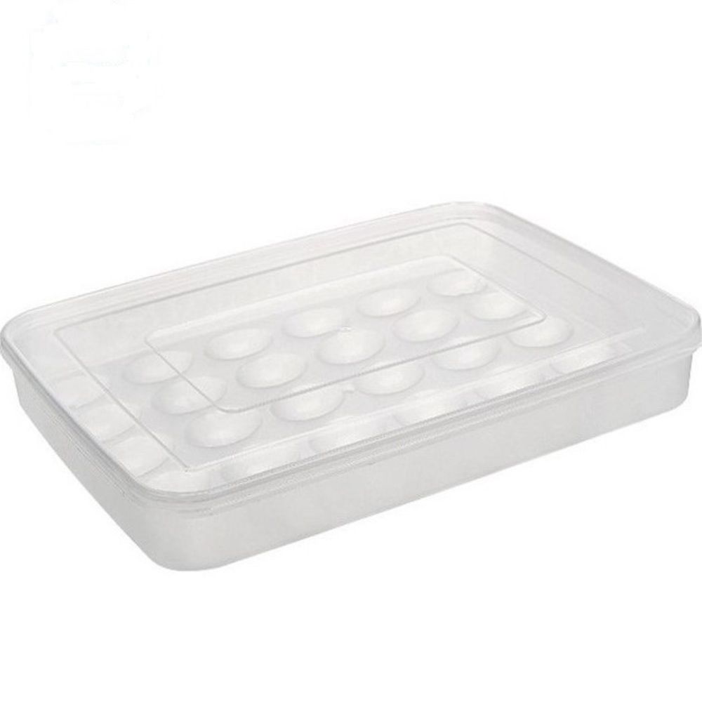 34 Egg Storage Fridge Box Holder-Clear | Buy Online in South Africa ...