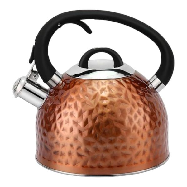 Kettle 3L Whistling Hammered Stainless Steel Haus Roland