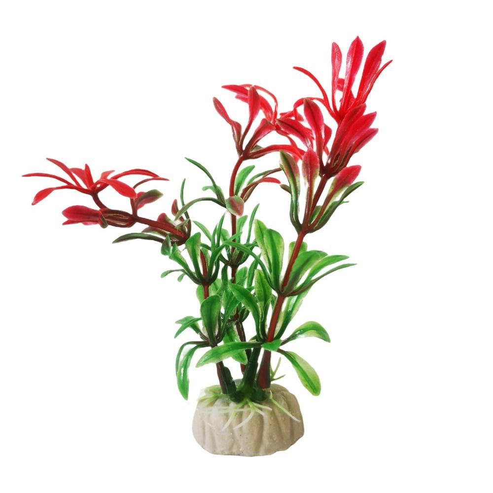 Aquarium Artificial Plants 12cm Shop Today. Get it Tomorrow