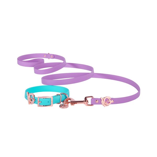 Valgray Splash Proof Dog Collar &amp; Leash Set, Turquoise &amp; Lilac, Small