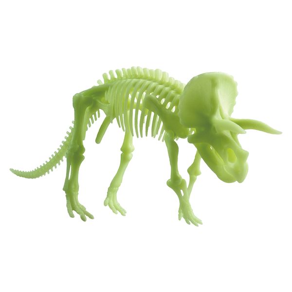 Edu-Science Glow-in-the-Dark Triceratops Skeleton: 22cm x 10cm