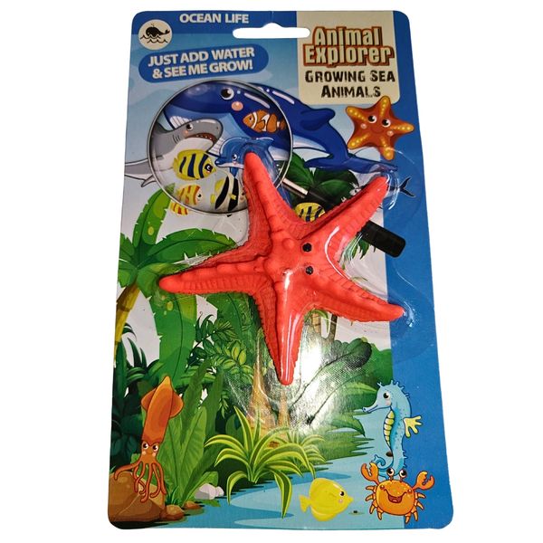 Animal Explorer - Growing Starfish - Just Add Water