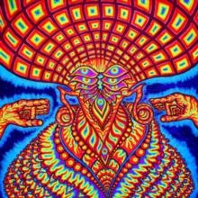 The Universe Inside (Vinyl / 12" Album)