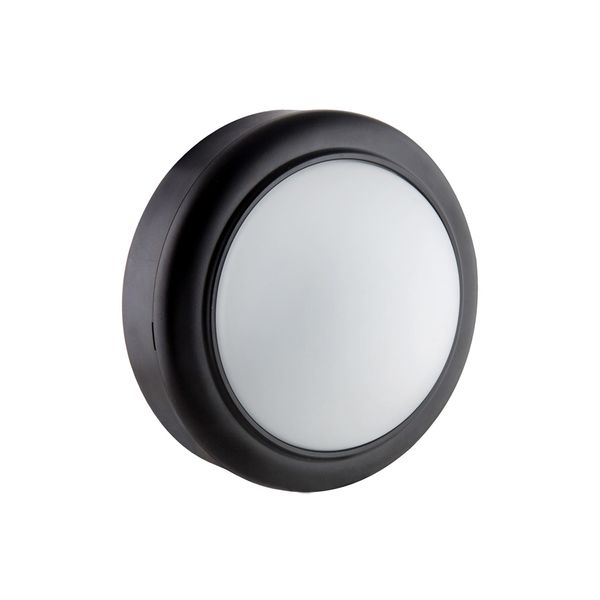 Eurolux - Bulkhead Black 220 -240V 60Hz 8W