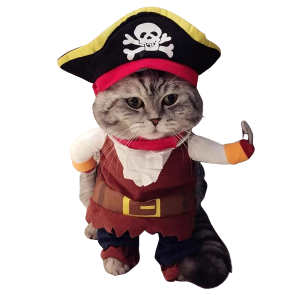 Cat Novelty clothing - Pirate outfit