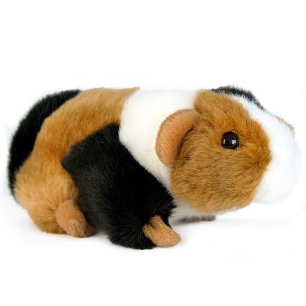 Gigi the Guinea Pig - Plush Toy