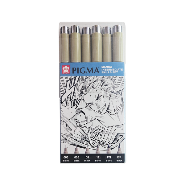 Sakura Pigma Manga Intermediate Set of 6