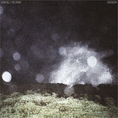 Seeker (Vinyl / 12" Album)