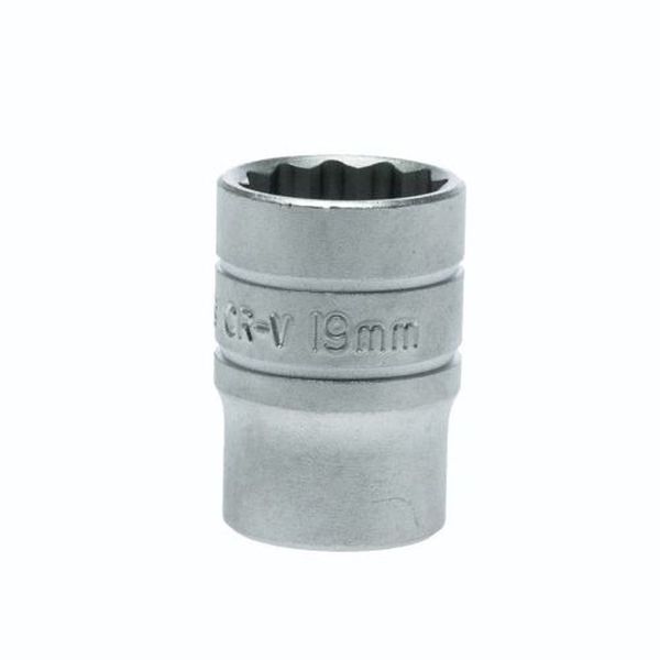 TengTools - 1/2" Drive 12 Point Socket 19mm - M120519-C
