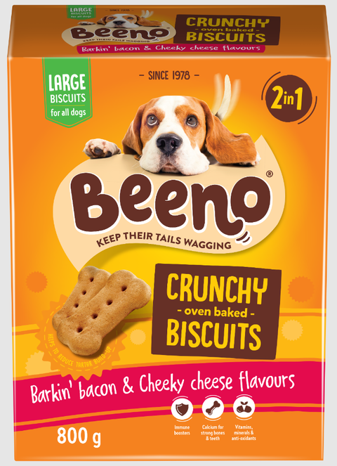 what breed is biscuit the dog