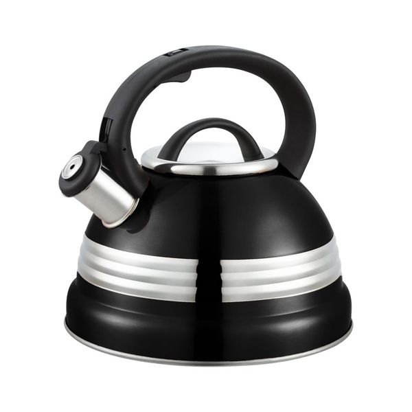 Stainless Steel 3 L Kettle