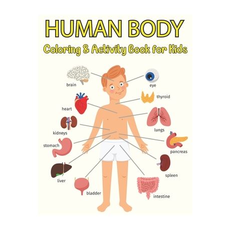 Download Human Body Coloring And Activity Book For Kids Anatomy And Physiology Coloring Book Human Anatomy Coloring Book Buy Online In South Africa Takealot Com