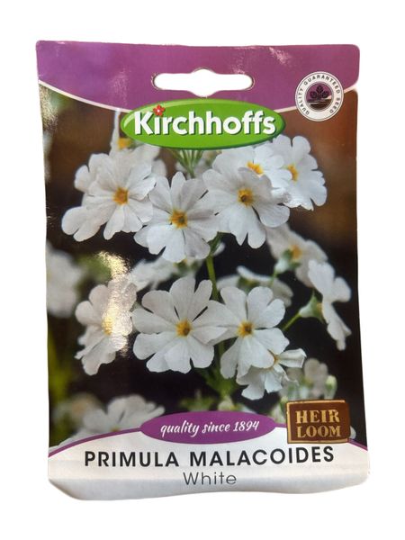 Kirchhoffs Primula Malacoides White Seed packet