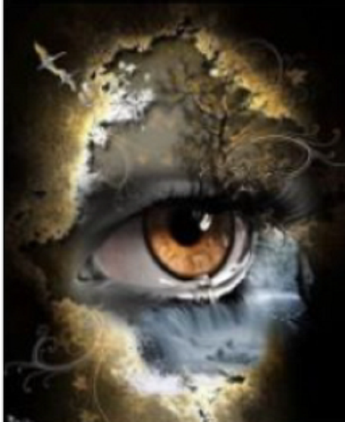 Moody Eye 30 x 40cm Diamond Art