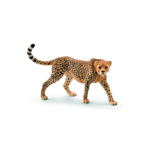 Schleich Wild Life Female Cheetah 6 1cm