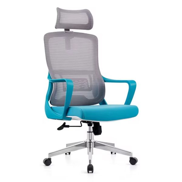NOVOGRACZ Office ARUBA Ergonomic Mesh Office Chair with Headrest