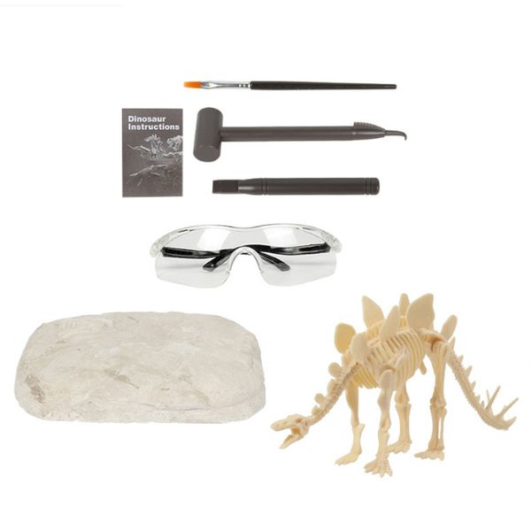Olive Tree-Dinosaur Fossil Archaeology Paleontology Educational-Stegosaurus