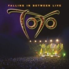 Falling in Between (Vinyl / 12" Album)